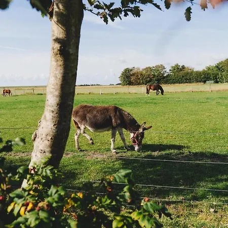 Nordsee Bauernhof Familie Wulff Daire Reußenköge