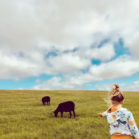 Nordsee Bauernhof Familie Wulff * Reußenköge