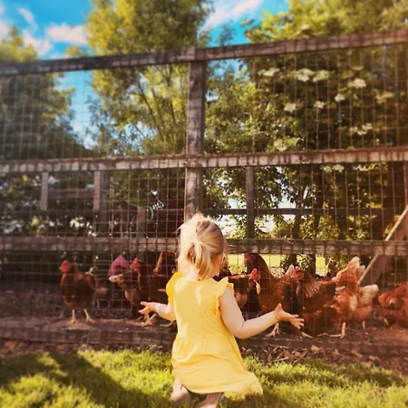 Nordsee Bauernhof Familie Wulff Daire *